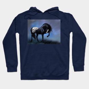 Black Appaloosa Hoodie